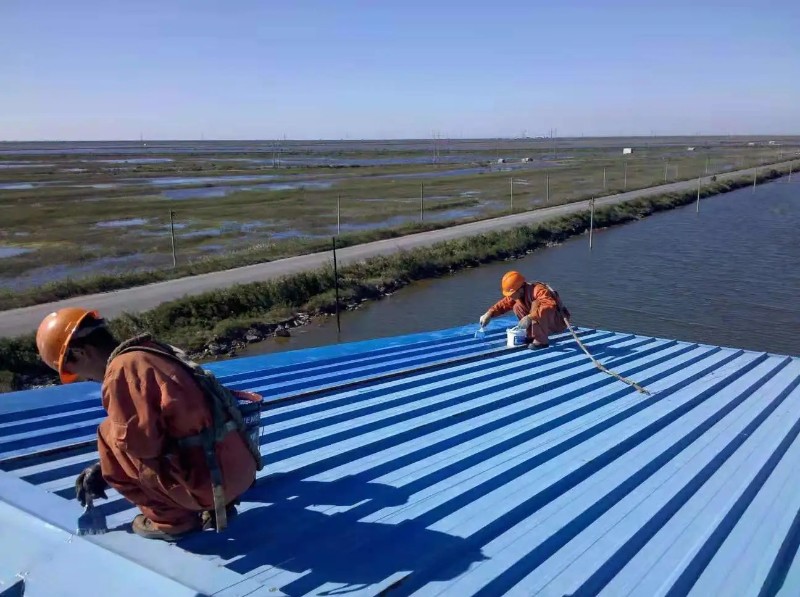 钟祥钢结构屋面漏水原因